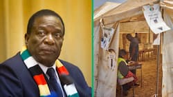 SA reacts to Zimbabwe's early election results showing ZANU-PF's lead
