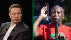 Malema vs Musk: EFF leader slams billionaire for throwing shade, Netizens stand behind Juju