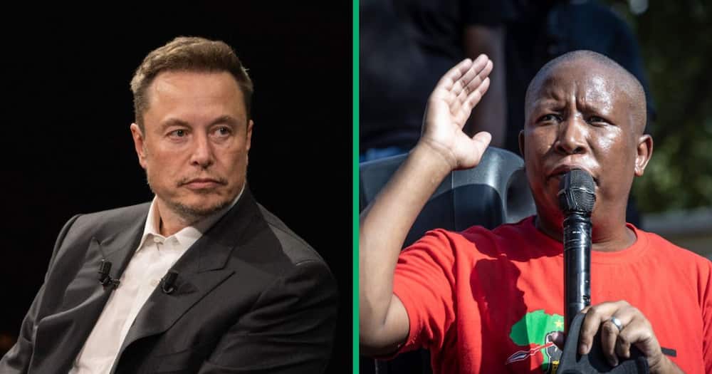 Julius Malema slams Elon Musk for tweet