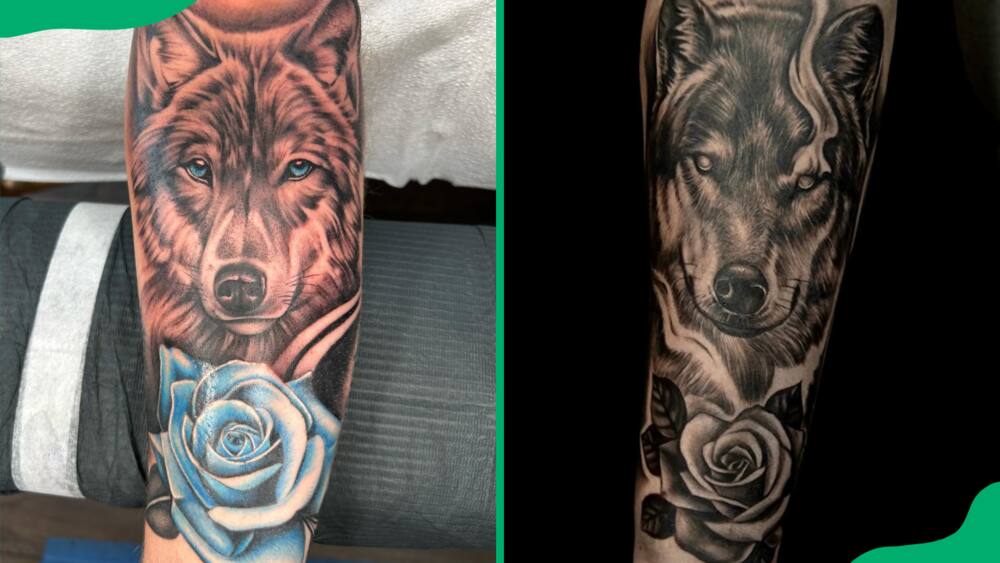 Roses and wolves on arm tattoo