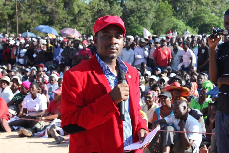 nelson chamisa net worth