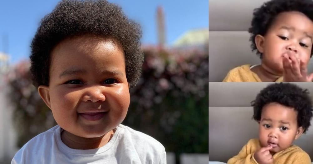 Adorable, toddler, learning sign language