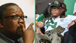 African National Congress in KZN celebrates the departure of former police minister Nathi Nhleko