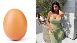Egg still the most liked photo on Instagram with over 56 million likes
