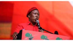EFF ordered to pay 11 months' salary to unfairly dismissed employee