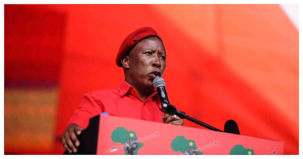 Juju Shocked No One From EFF Invited to Testify at State Capture, Mzansi Reacts