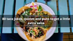80 taco jokes, quotes and puns to get a little extra salsa