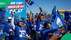 Democratic Alliance wants to review tender processes of ministries it will get