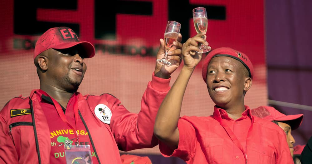 Leader of the South African radical-left opposition party Economic Freedom Fighters (EFF), Julius Malema (C) and EFF Deputy President Floyd Shivambu raise a toast during a mass rally