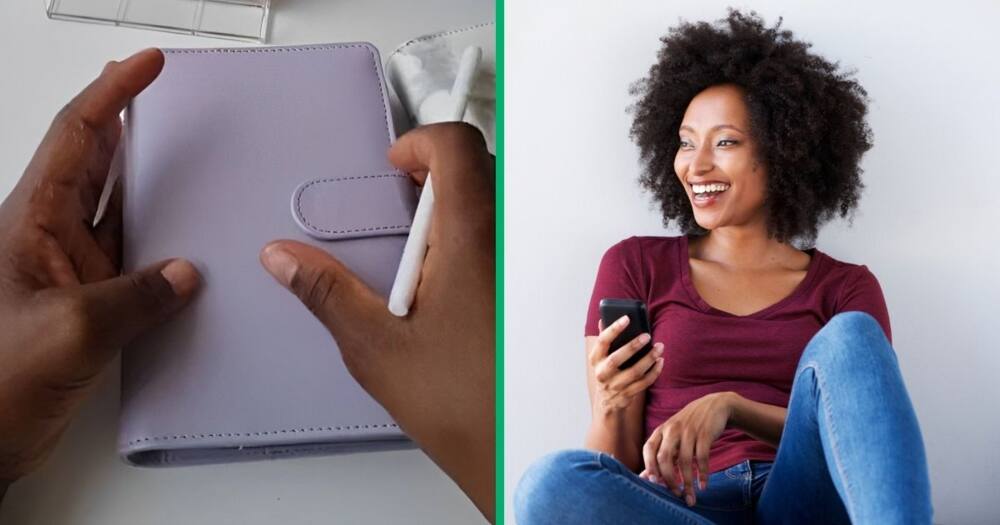 Woman's purple budget binder impresses people on the internet.