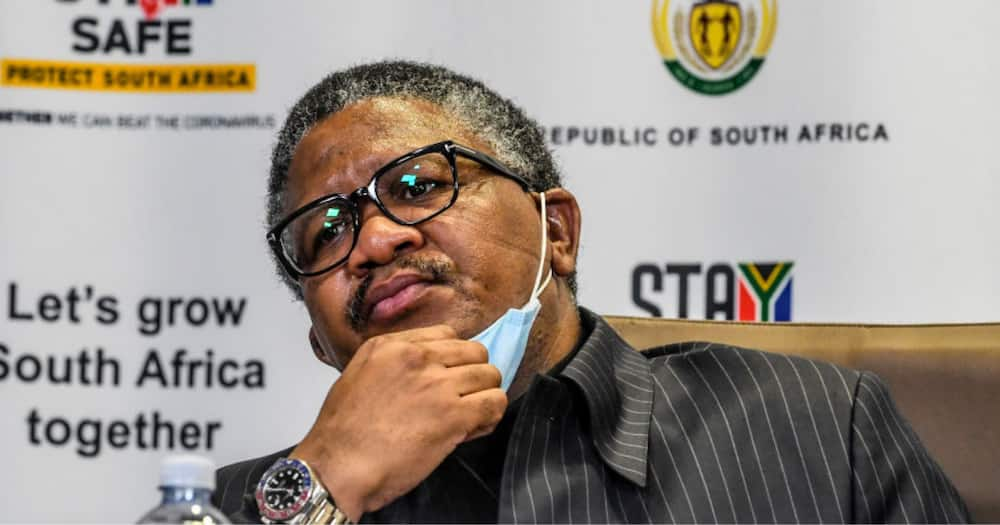 "All Talk No Action": Mzansi Drags Fikile Mbalula for Joe Biden Tweet