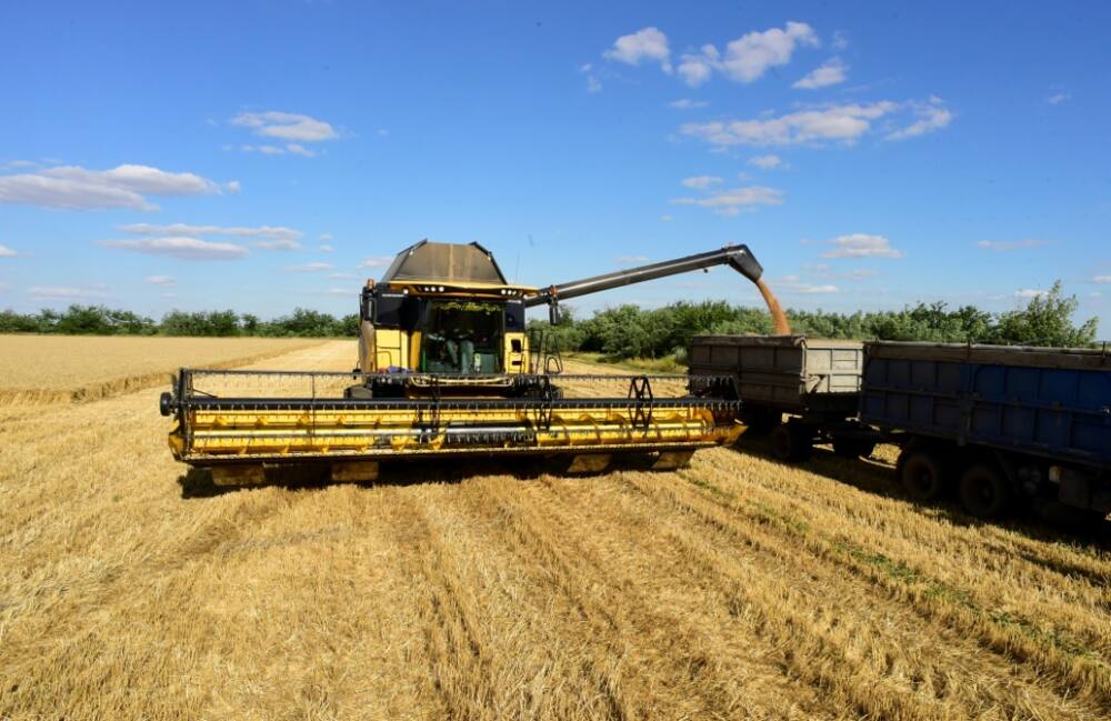 Ukraine, often called Europe's 'breadbasket', is one of the world's main grain producers