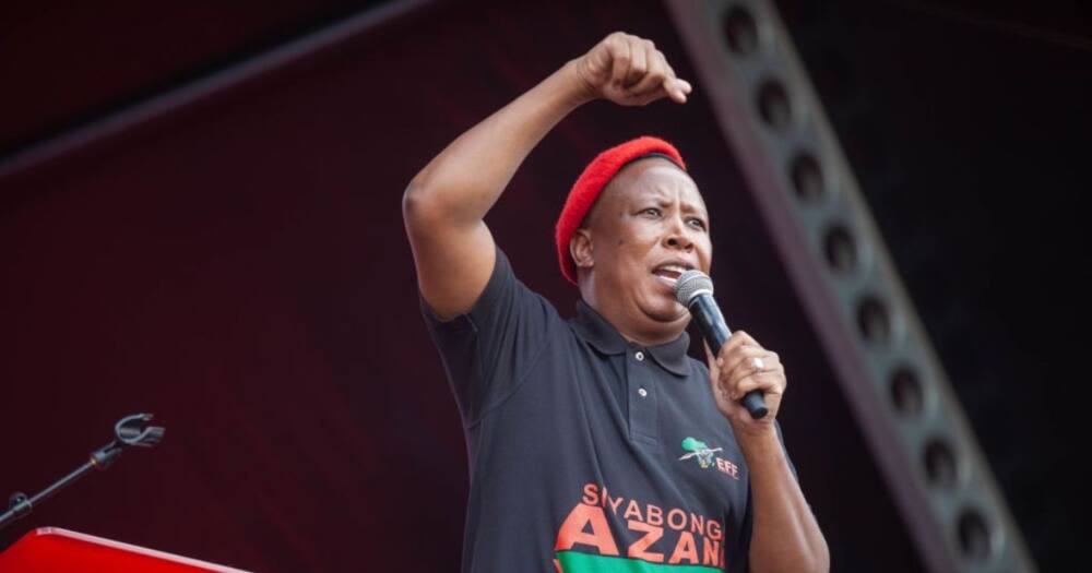 Julius Malema, EFF, Malema, Economic Freedom Fighters, local government election results, Gauteng election results