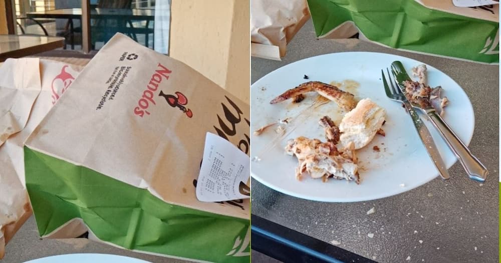 Nando's, South Africa, Laughing, Another, Clap Back Nando's, South Africa, Laughing, Another, Clap Back