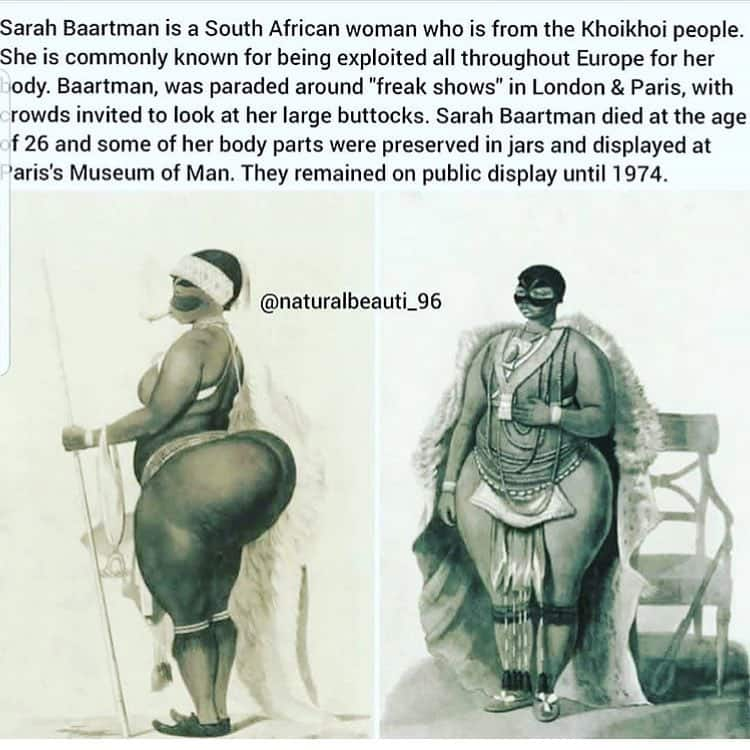 saartjie baartman genitalia