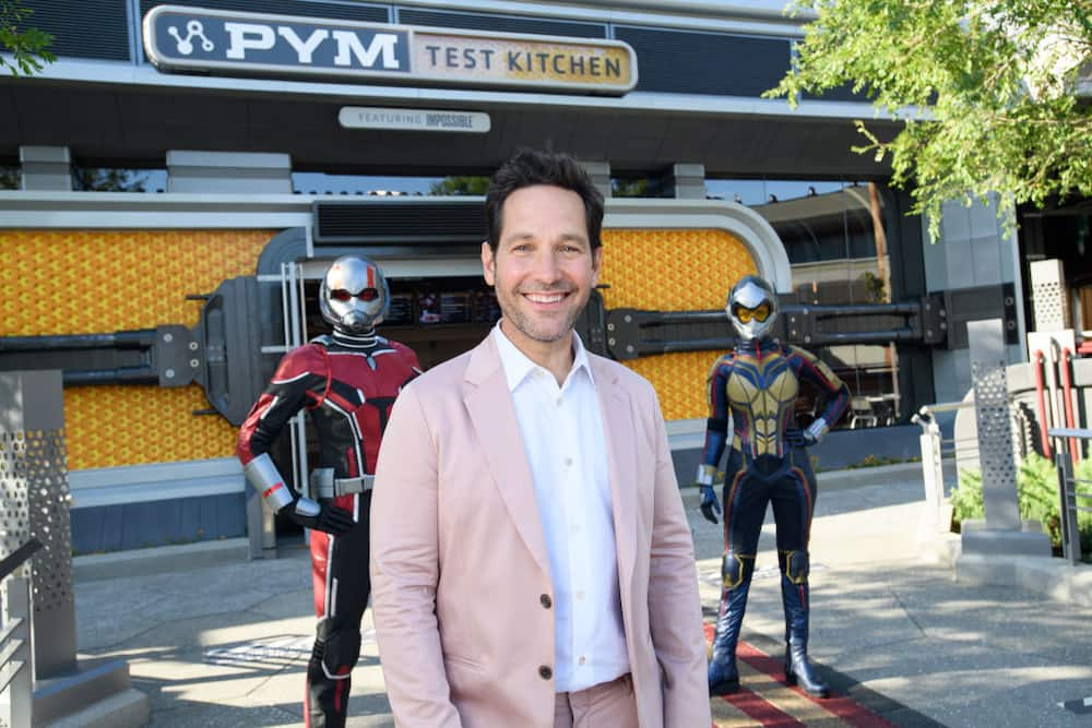 Paul Rudd Net Worth - What Is Paul Rudd Worth Today?