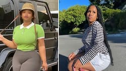 Cyan Boujee raises eyebrows after throwing subtle shade at Pabi Cooper, SA suspects there's beef between them