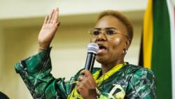 ANC's Fikile Mbalula issues stern warning to Lindiwe Zulu over endless Sassa and Postbank grants saga