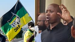 Former ANCYL leader Andile Lungisa calls out ANC, warns party will lose power if it rejects radical transformation agenda