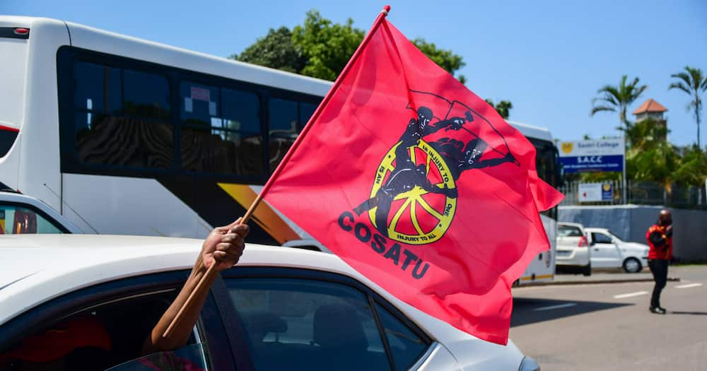 Cosatu, Vaccine Certificates, Covid-19, Coronavirus, Vaccination, Vaccines