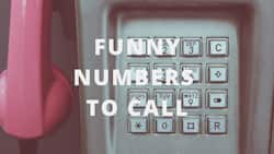 10 funny phone numbers to call when you have nothing else to do