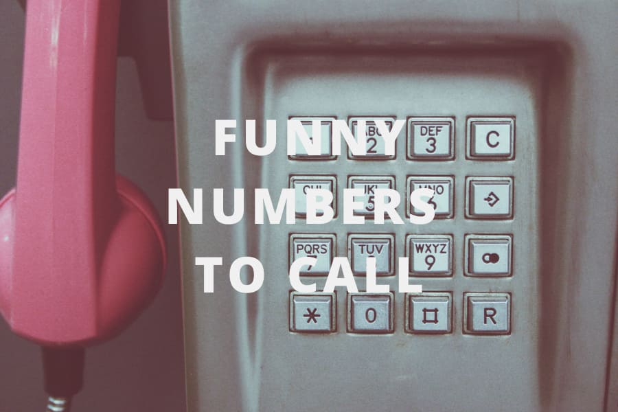 10 Funny Numbers to Call to for Pranks or When You're Bored