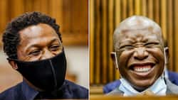 Mzansi baffled as EFF duo Malema, Ndlozi assault case postponed to December