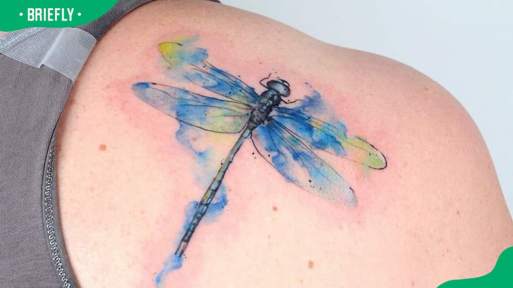 Watercolor dragonfly shoulder tattoo