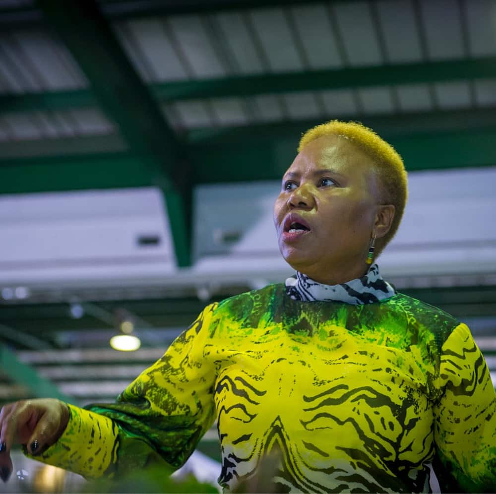 Lindiwe Zulu husband