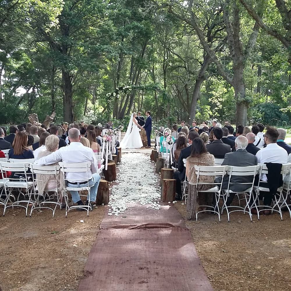 15 breathtaking forest wedding venues Cape Town