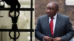 President Cyril Ramaphosa accused of theft, businessman claims his energy plan was stolen