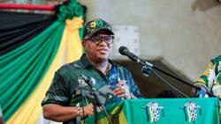 Fikile Mbalula claims rich BEE beneficiaries are teaming with ANC's enemies