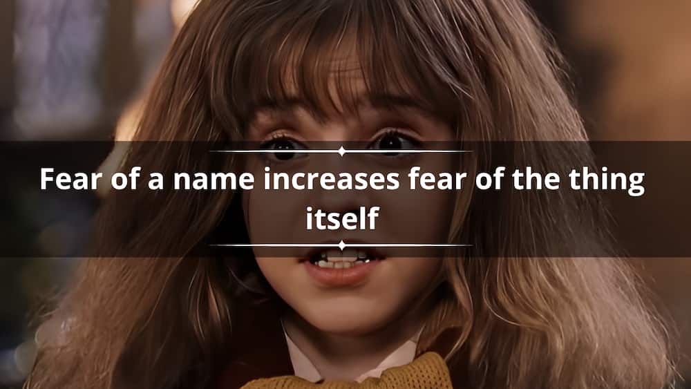 41 Badass Hermione Granger Quotes That Will Inspire You To Live Life Louder