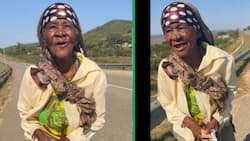 BI Phakathi's TikTok video of gogo on long walk to buy Maize meal breaks SA hearts, masked hero steps in