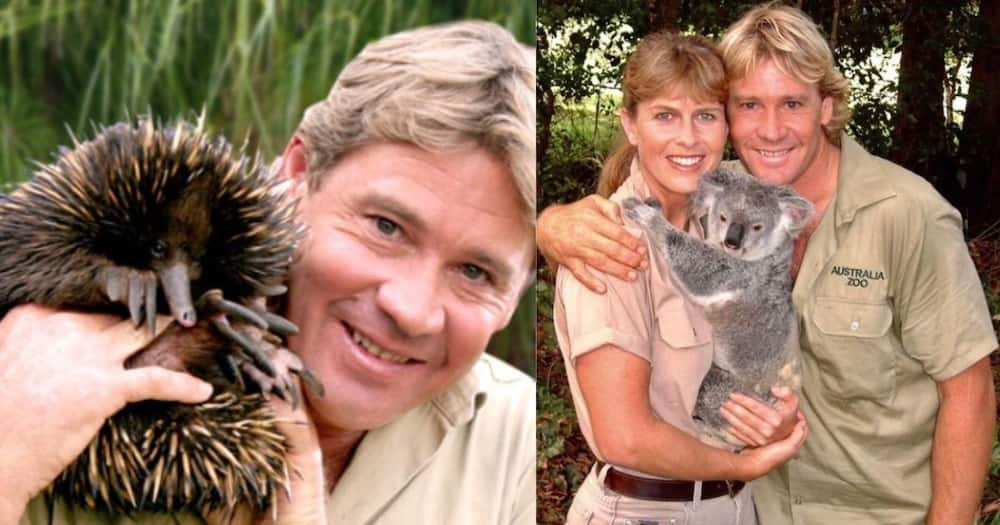 How Did Steve Irwin Die? Uncovering The Truth Behind The Crocodile