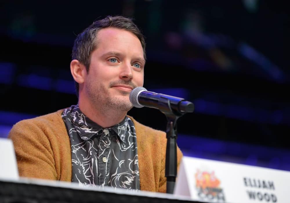 How much did Elijah Wood get paid for The Hobbit?