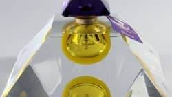 Top 30 best luxury perfume brands for men and women 2022