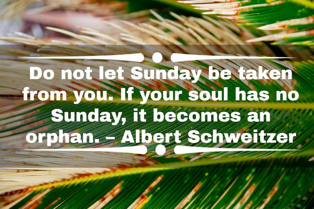 SUNDAY: TAKE IT SLOW AND GIVE YOUR SOUL A CHANCE TO CATCH UP WITH YOUR BODY  ( happy Sunday everyone )