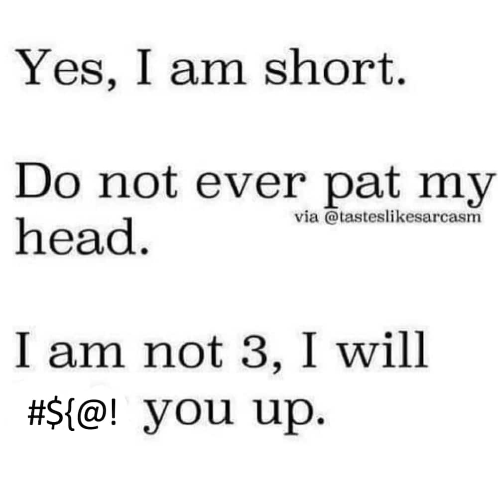 50+ hilarious short people memes that will crack you up