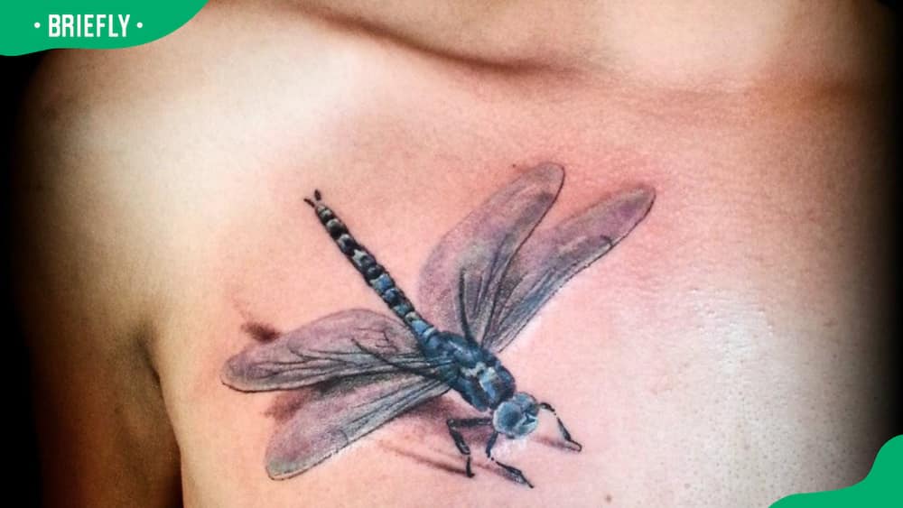 Realistic dragonfly tattoo