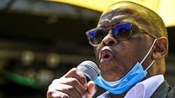 Ace Magashule laments ANC factionalism, wants to take step aside decision to ConCourt