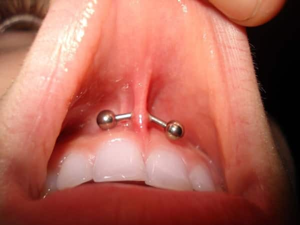 upper frenulum piercing