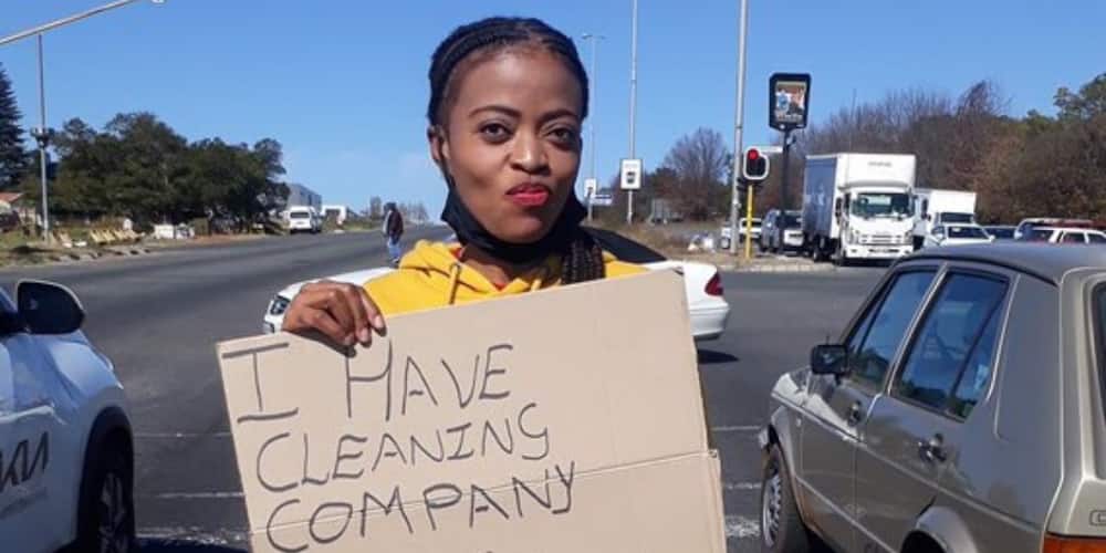 Rent a Maid, hustle, cleaning company