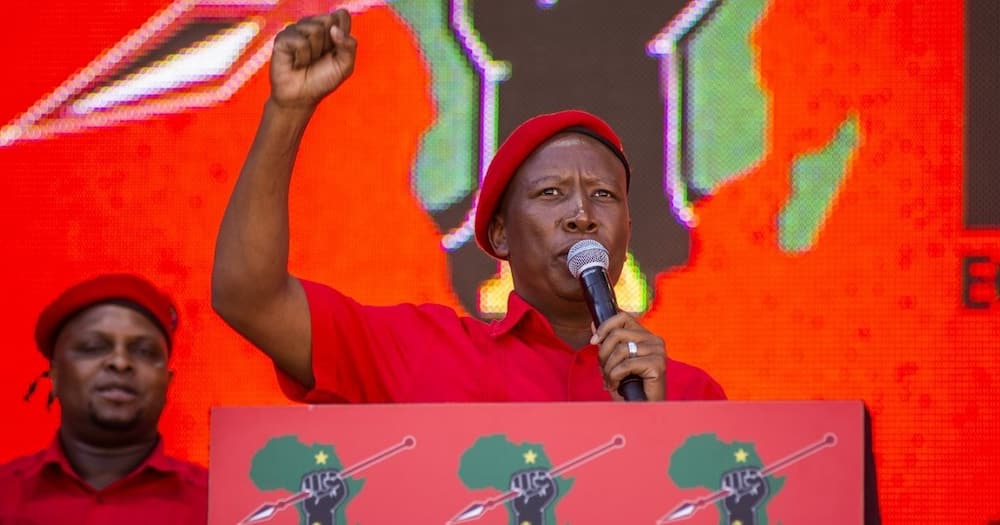 Julius Malema, PAN African Parly, unite Africans