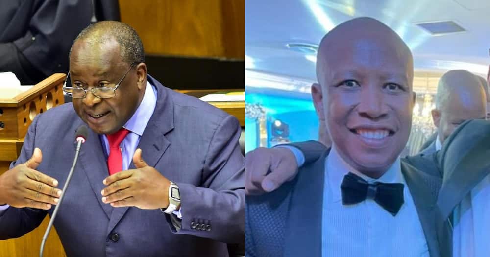 I Feel for You: Tito Mboweni Posts About Julius Malema's Love for ANC