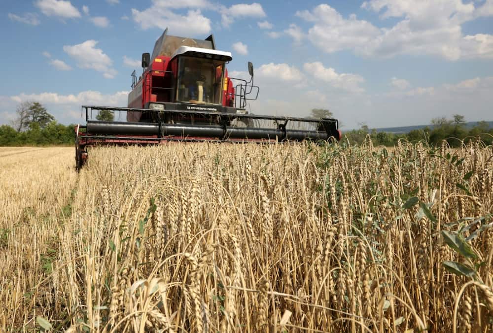 The UN and Turkey brokered a deal with Russia to allow Ukrainian grain exports but Russia pulled out of the agreement
