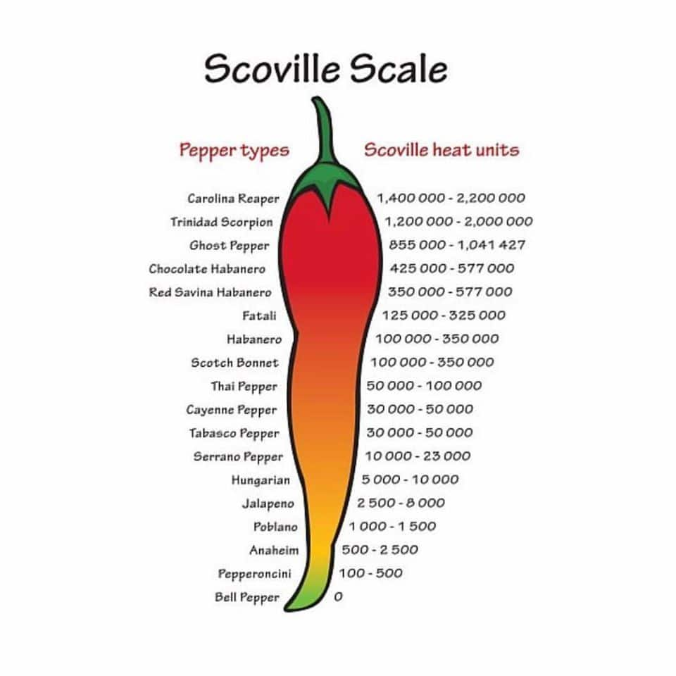 Chilli scale