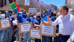 DA wants to declare Afrikaans an indigenous language: "Forever the opposition"