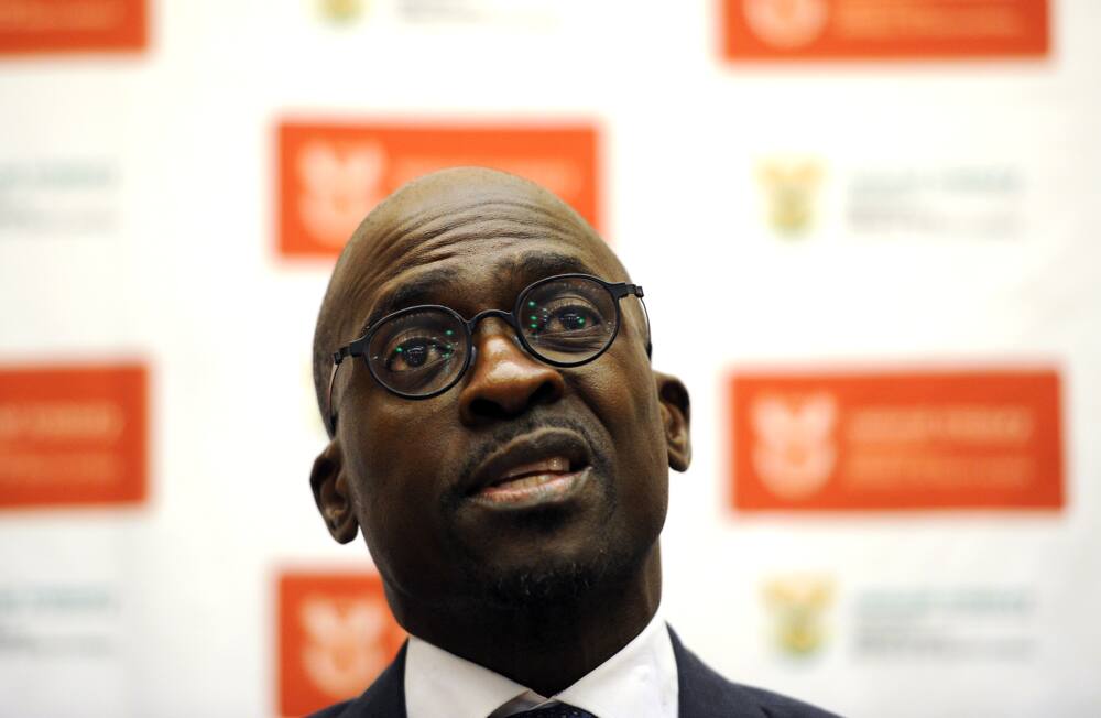 Malusi Gigaba, state capture inquiry, Gupta family, SAA, Jet Airways, Mumbai to Johannesburg