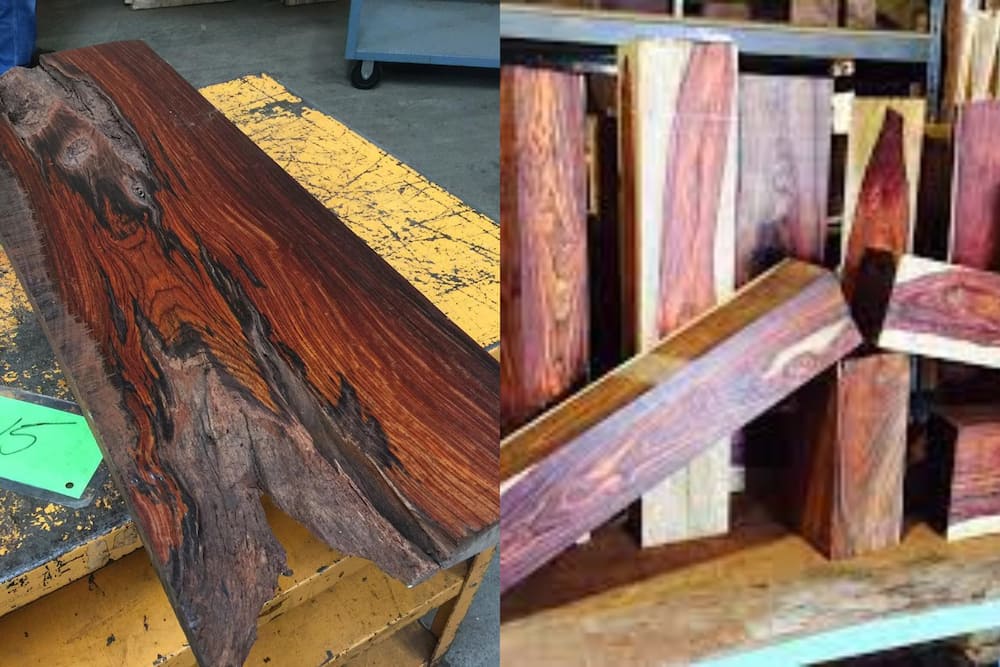 rarest wood in the world
